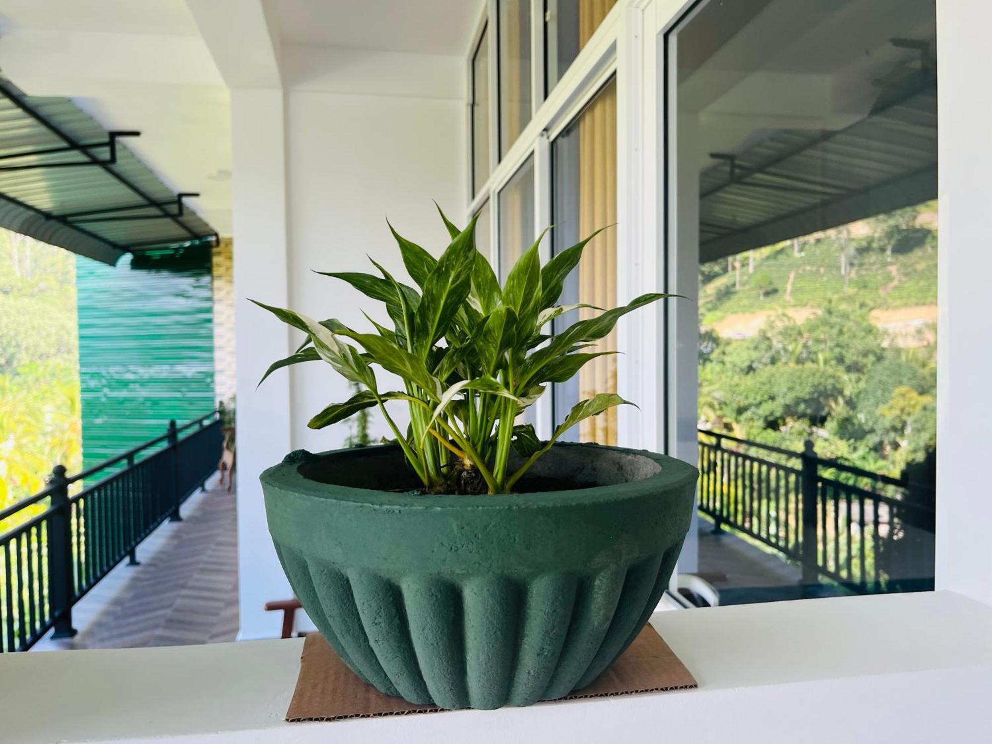 Viyanga Homestay Ella Exteriér fotografie