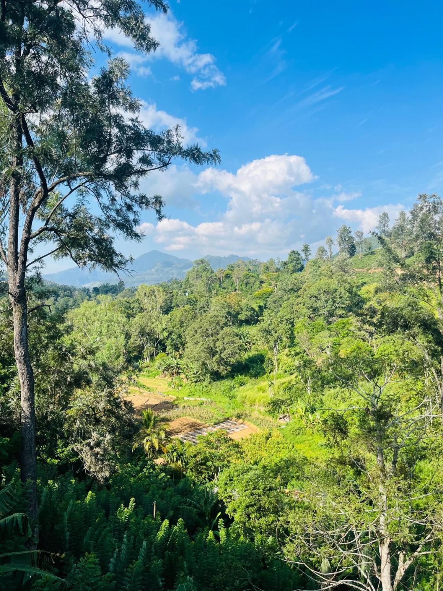 Viyanga Homestay Ella Exteriér fotografie