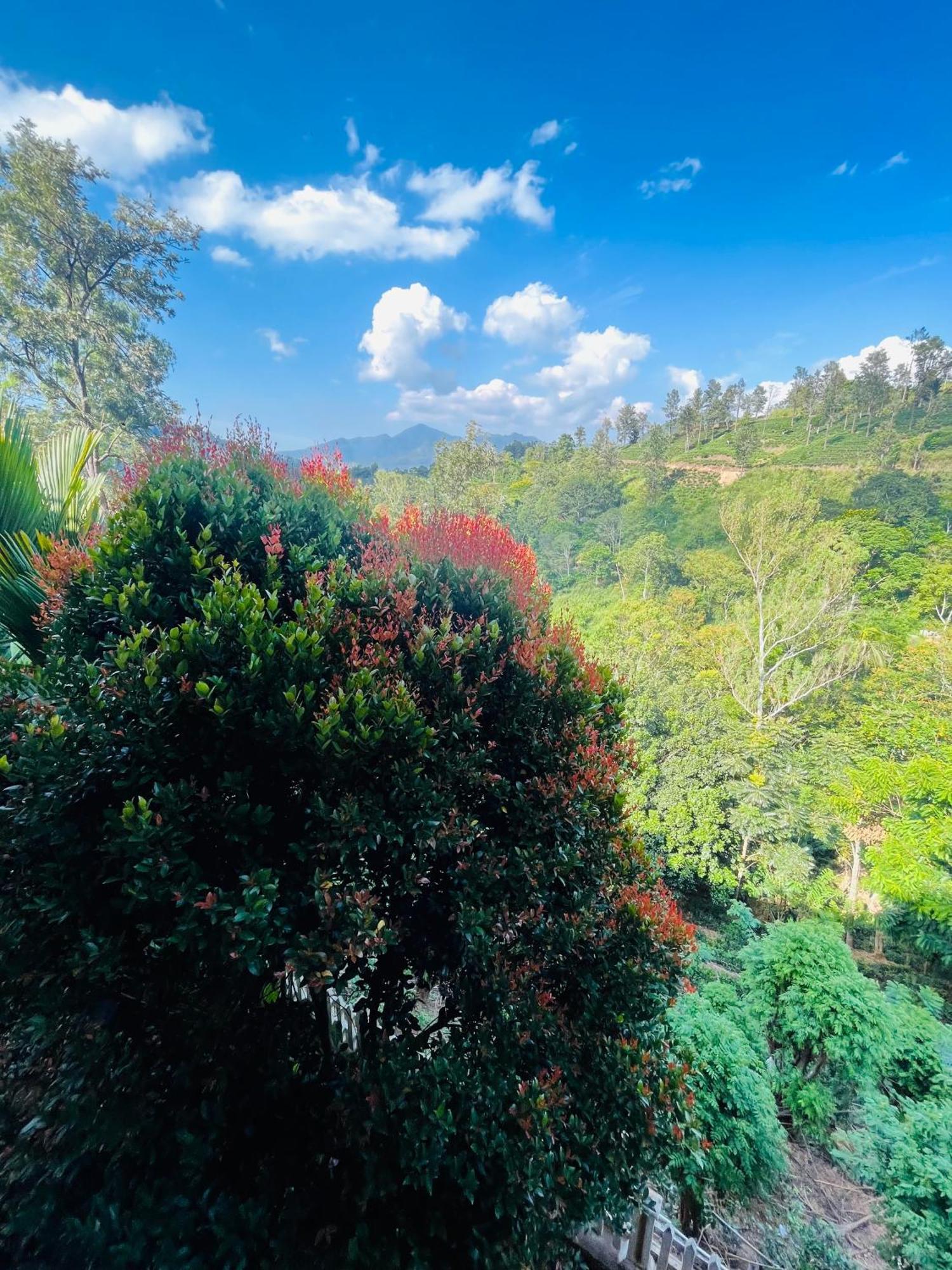 Viyanga Homestay Ella Exteriér fotografie